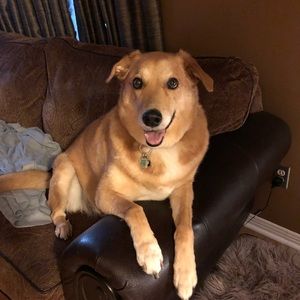 Meet your Posher, Ashley